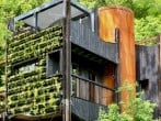 Treehouse exterior Treehouse exterior